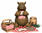bear eating picnic md wht