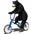 black bear riding bicycle md wht