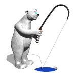 polar bear fishing md wht