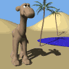 camel desert md wht