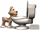 dog drinking toilet md wht