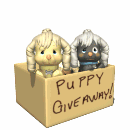 puppy giveaway md wht