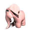 cartoon pink elephant shy md wht