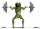 frog squats md wht