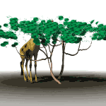 giraffe behind trees md wht