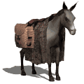donkey with pack md wht