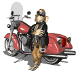 monkey motorcycle thumbs up md wht