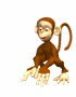 monkey slapping hands ground md wht