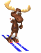moose skiing md wht