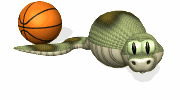 boa swallowing a basketball md wht