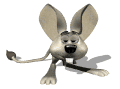 jerboa the mouse blinking md wht