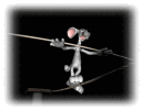 mouse tightrope walker md wht