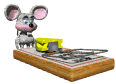 mousetrap md wht