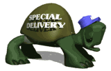 special delivery md wht