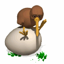 kiwi sitting on egg md wht