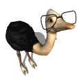 ostrich glasses geek md wht