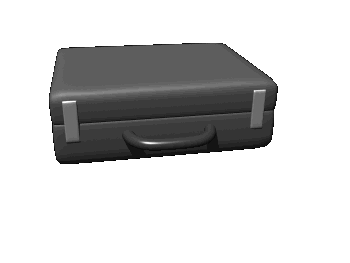 briefcase detail hg clr
