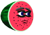 watermelon spit seeds md wht