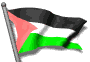 palestine fi md wht