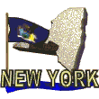 new york state fl md wht