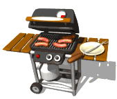 gas grill cooking lg wht  st