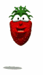 cartoon strawberry bouncing md wht