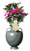 vase flowers md wht