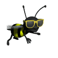 cool buzzy flying md wht