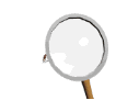 bug magnifying glass md wht