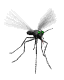 mosquito md wht