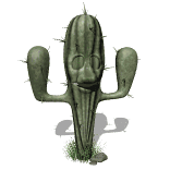 cactus blinking lg wht