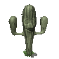 cactus blinking sm clr