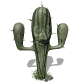 cactus blinking sm wht