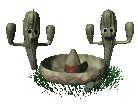 cactus mexican hat dance md clr