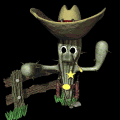 cactus sheriff md blk