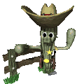 cactus sheriff md clr