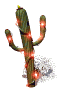 christmas cactus md wht