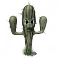 cactus blinking hr