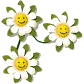 flower smiles md wht