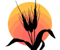 wheat silhouette md wht