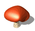 mushroom happy md wht