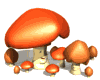 mushrooms happy md wht