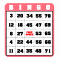 bingo card splot md wht
