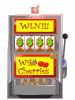 slot machine winner md wht