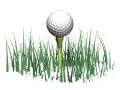 golf ball tee grass blowing md wht