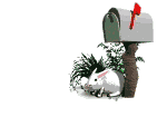 bunny mail md wht