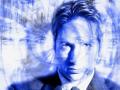 duchovny008