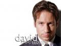 duchovny009