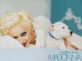 Madonna 86