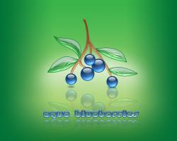 aqua blueberries 02